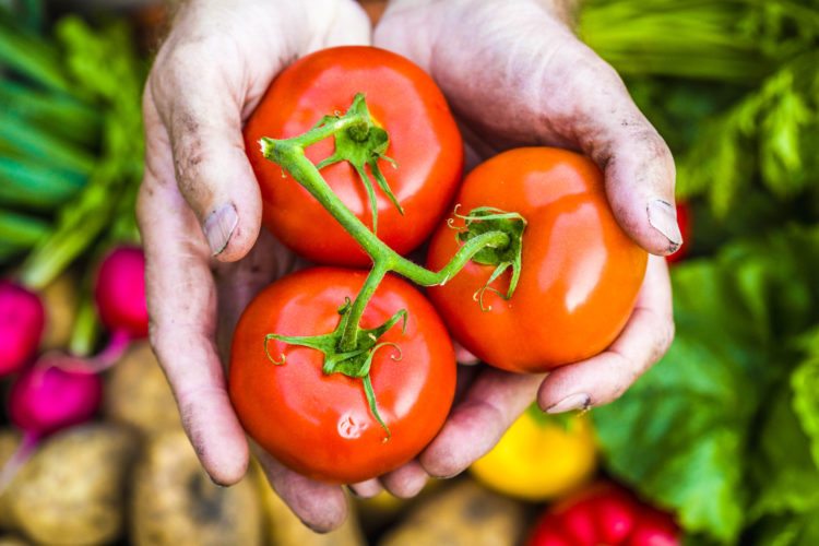 Must See: 'Taste of School Gardens'